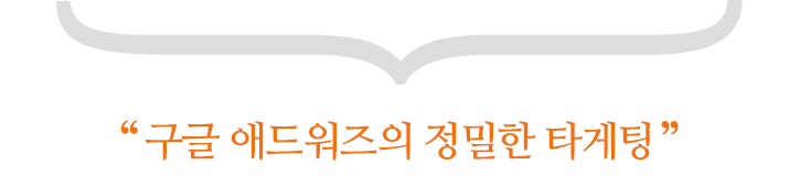 구글 애드워즈의 정밀한 타게팅