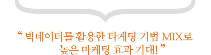 빅데이터를 활용한 타게팅 기법 MIX로 높은 마케팅 효과 기대!