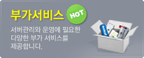 부가서비스