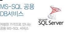 MSSQL 공용DB 서비스