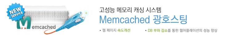 고성능 메모리 캐싱 시스템 Memcached 광호스팅